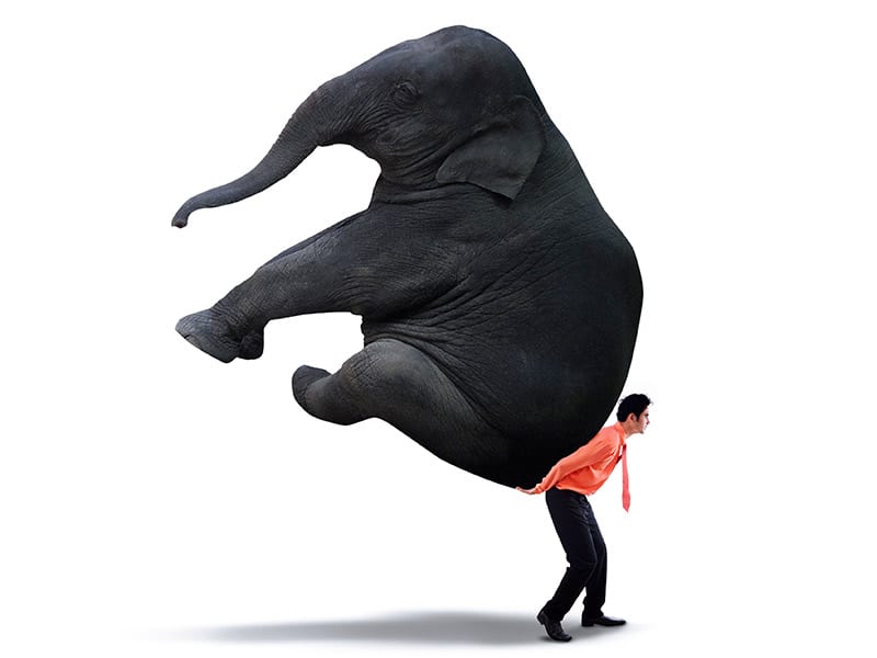 A-business-man-holding-an-elephant-on-his-back illustrating that EHR integration is a heavy load.